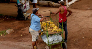 trabajadores por cuenta propia