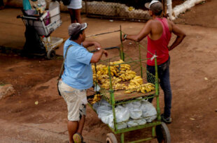 trabajadores por cuenta propia