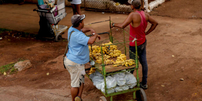 trabajadores por cuenta propia