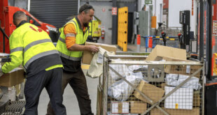 sistemas algorítmicos