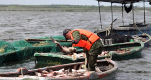 pesca cuba