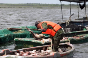 pesca cuba
