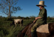 Campesinos